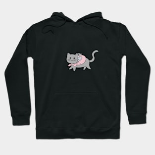 Kitty goes on a walk Hoodie